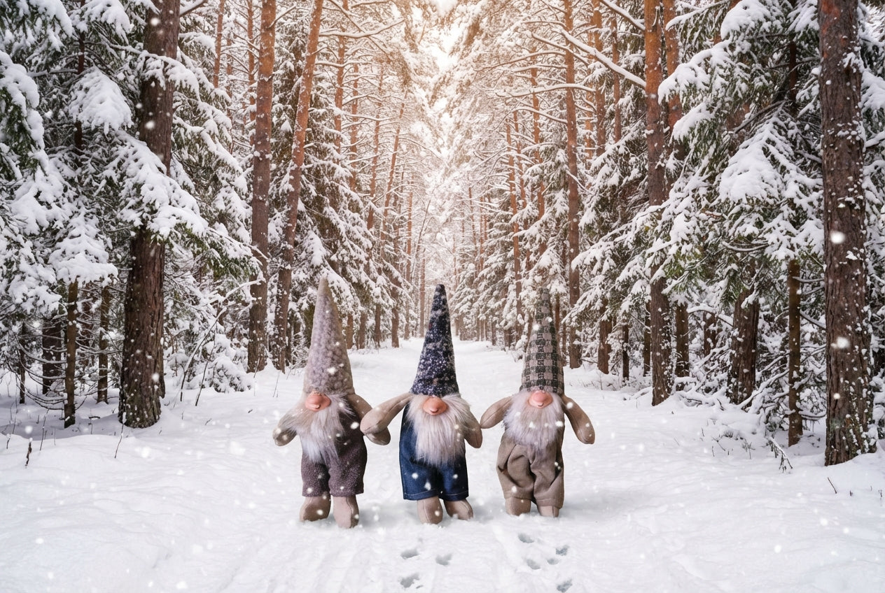 Rankų darbo nykštukai „Baltijos miško sargai“
